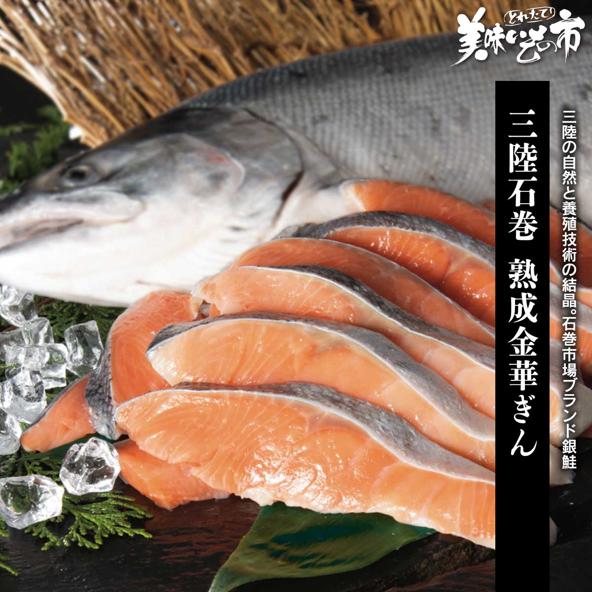公式】 三陸石巻 熟成金華ぎん (魚)| とれたて！美味いもの市