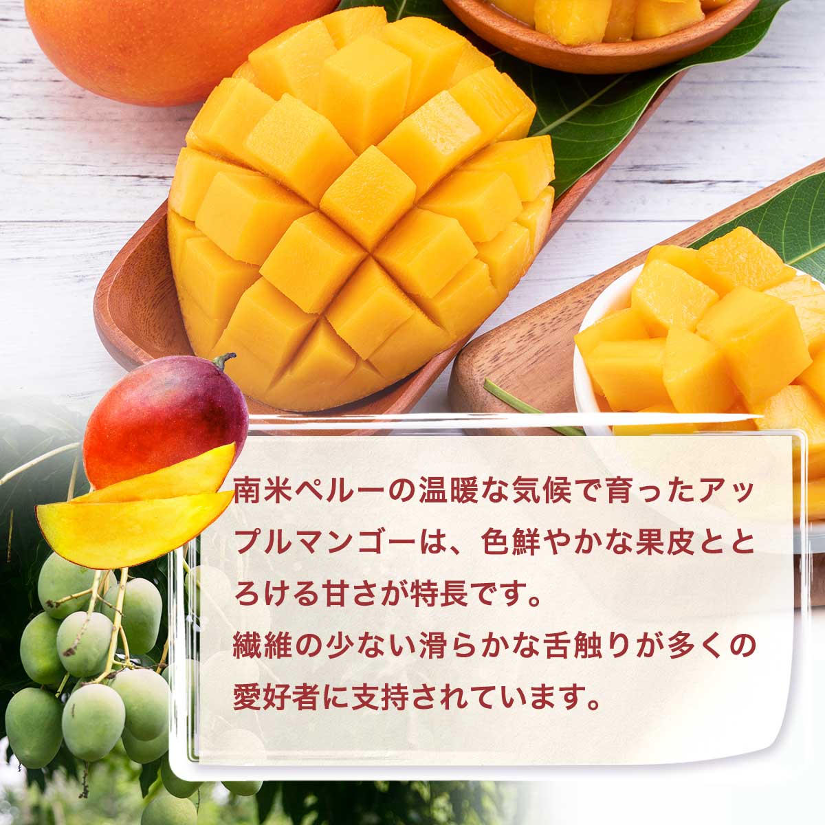 公式】 アップルマンゴーチャンク 500g (おやつ・菓子・スイーツ